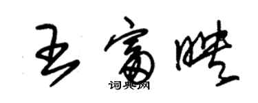 朱錫榮王富映草書個性簽名怎么寫