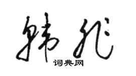 駱恆光韓非草書個性簽名怎么寫