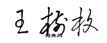 駱恆光王樹枚草書個性簽名怎么寫