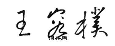 駱恆光王容朴草書個性簽名怎么寫