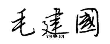 王正良毛建國行書個性簽名怎么寫