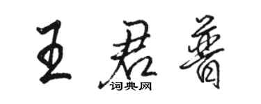 駱恆光王君普行書個性簽名怎么寫