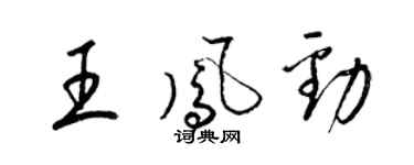 梁錦英王鳳勁草書個性簽名怎么寫