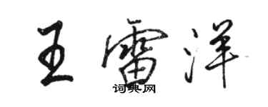 駱恆光王雷洋行書個性簽名怎么寫