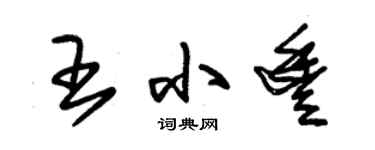 朱錫榮王小豐草書個性簽名怎么寫