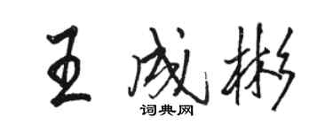 駱恆光王成彬行書個性簽名怎么寫