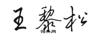 駱恆光王黎松行書個性簽名怎么寫