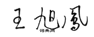 駱恆光王旭鳳草書個性簽名怎么寫