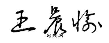 曾慶福王晨愉草書個性簽名怎么寫