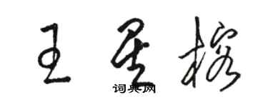 駱恆光王星榕草書個性簽名怎么寫