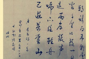 杜甫詩《秦州雜詩二十首》楷書全文，仍殘老驌驦。_書法作品