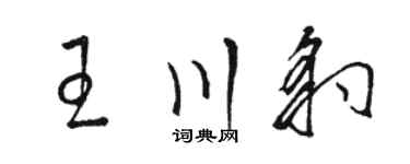 駱恆光王川豹草書個性簽名怎么寫