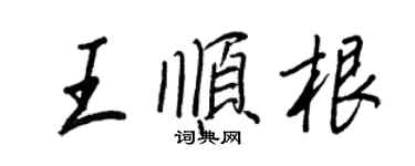 王正良王順根行書個性簽名怎么寫