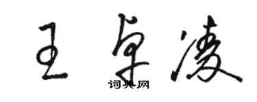 駱恆光王卓凌草書個性簽名怎么寫