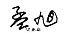 朱錫榮孟旭草書個性簽名怎么寫