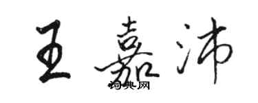 駱恆光王嘉沛行書個性簽名怎么寫