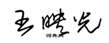 朱錫榮王映光草書個性簽名怎么寫