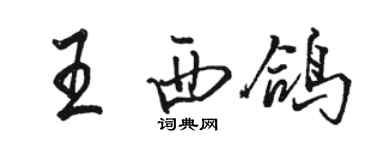 駱恆光王西鴿行書個性簽名怎么寫