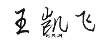 駱恆光王凱飛行書個性簽名怎么寫