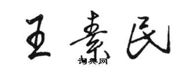 駱恆光王素民行書個性簽名怎么寫