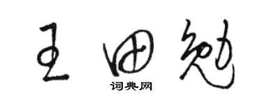 駱恆光王田勉草書個性簽名怎么寫