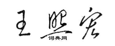 駱恆光王照宏草書個性簽名怎么寫