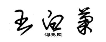 朱錫榮王白菊草書個性簽名怎么寫