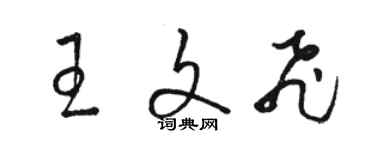 駱恆光王文飛草書個性簽名怎么寫