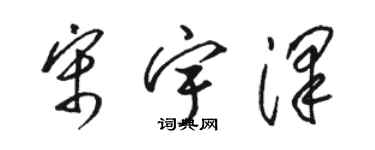 駱恆光宋宇澤草書個性簽名怎么寫