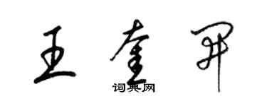 梁錦英王奎開草書個性簽名怎么寫