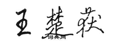 駱恆光王楚獲行書個性簽名怎么寫