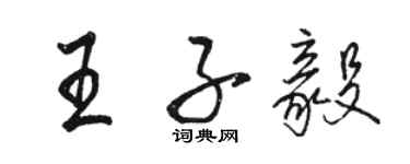 駱恆光王子毅行書個性簽名怎么寫