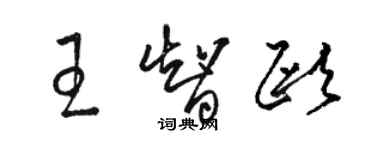 駱恆光王智歐草書個性簽名怎么寫