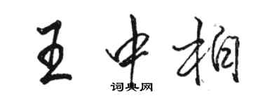 駱恆光王中柏行書個性簽名怎么寫