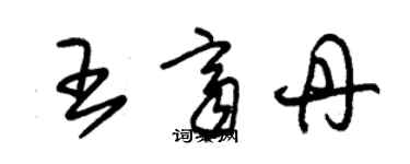 朱錫榮王齊丹草書個性簽名怎么寫