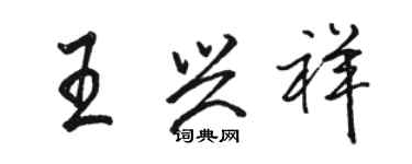 駱恆光王興祥行書個性簽名怎么寫