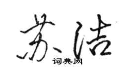 駱恆光蘇潔行書個性簽名怎么寫