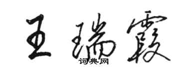 駱恆光王瑞霞行書個性簽名怎么寫