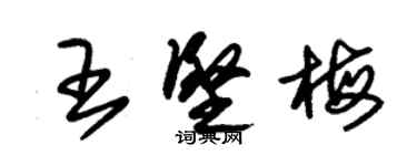 朱錫榮王堅梅草書個性簽名怎么寫