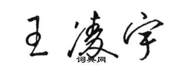 駱恆光王凌宇草書個性簽名怎么寫