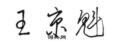 駱恆光王京魁草書個性簽名怎么寫