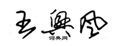 朱錫榮王興風草書個性簽名怎么寫