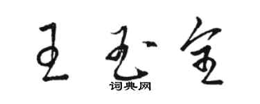 駱恆光王玉全草書個性簽名怎么寫