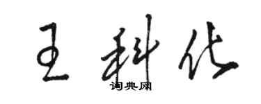 駱恆光王科化草書個性簽名怎么寫