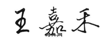 駱恆光王嘉禾行書個性簽名怎么寫