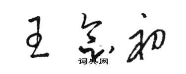 駱恆光王念初草書個性簽名怎么寫