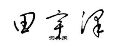 梁錦英田宇澤草書個性簽名怎么寫
