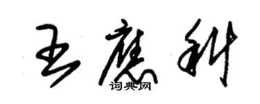 朱錫榮王應科草書個性簽名怎么寫