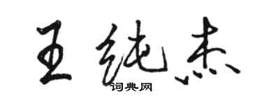 駱恆光王純傑行書個性簽名怎么寫