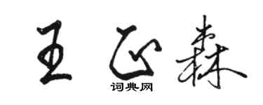 駱恆光王正森行書個性簽名怎么寫